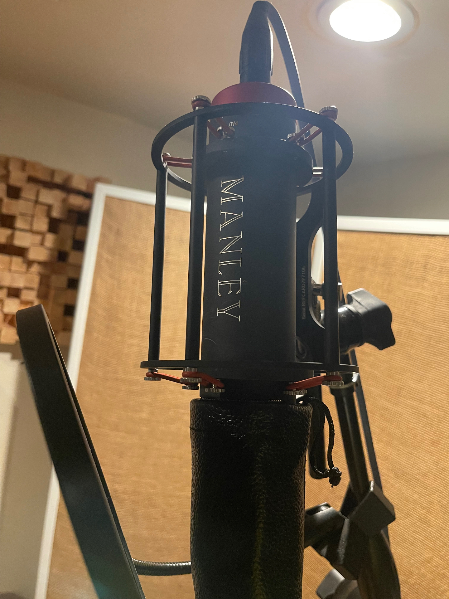 Manley Reference Cardioid